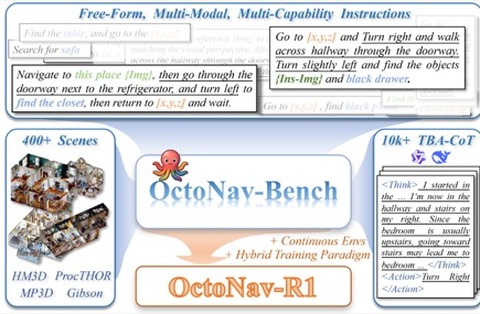 OctoNav overview